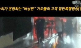 娱乐圈里吃瓜视频在哪看,揭秘热门动态，一键掌握最新资讯