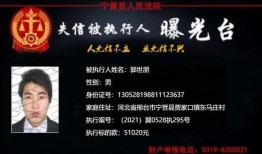 人民文娱最新爆料文章,最新爆料文章深度解读