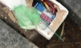 柬埔寨赌场爆料视频播放,揭秘神秘赌场背后的真实世界