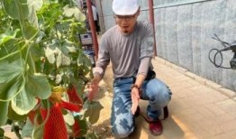 网红地打卡吃瓜,揭秘热门吃瓜圣地